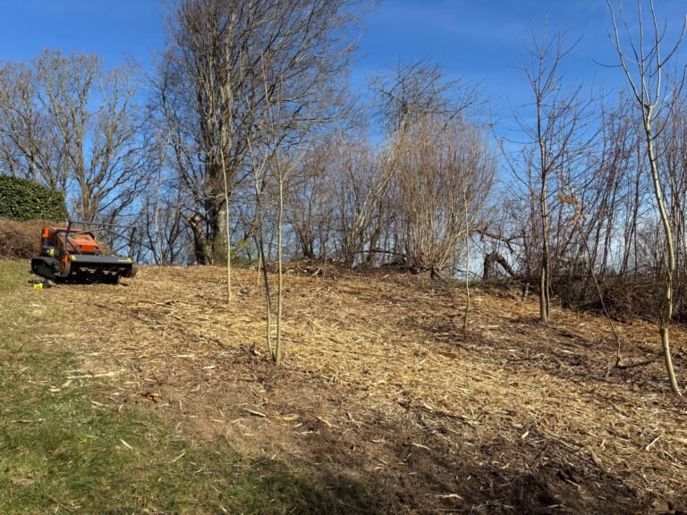 Efter: ryddet areal i Vejle